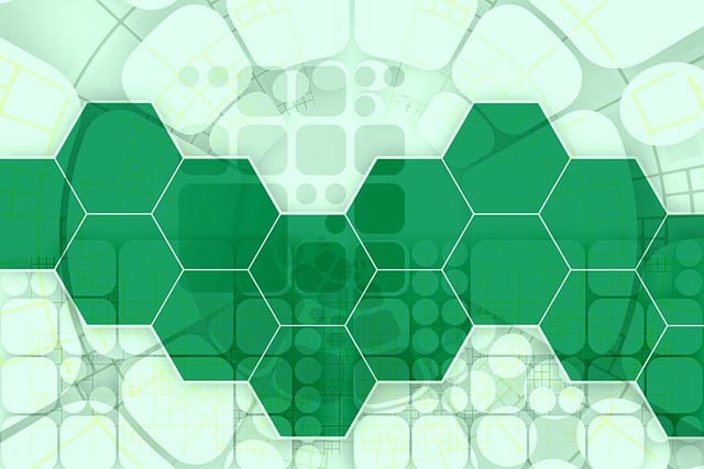 智慧公园管理系统示意界面